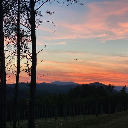 A Suite With A View + Wine Mount Airy Exterior photo