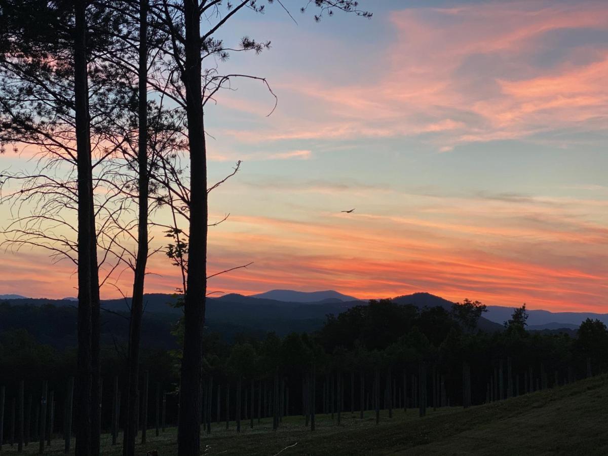 A Suite With A View + Wine Mount Airy Exterior photo